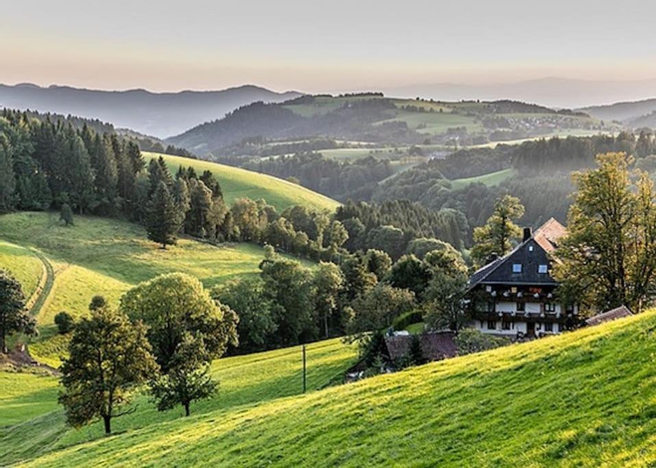 Ferienwohnung Lotti + Hochschwarzwald Card Titisee-Neustadt Exteriör bild