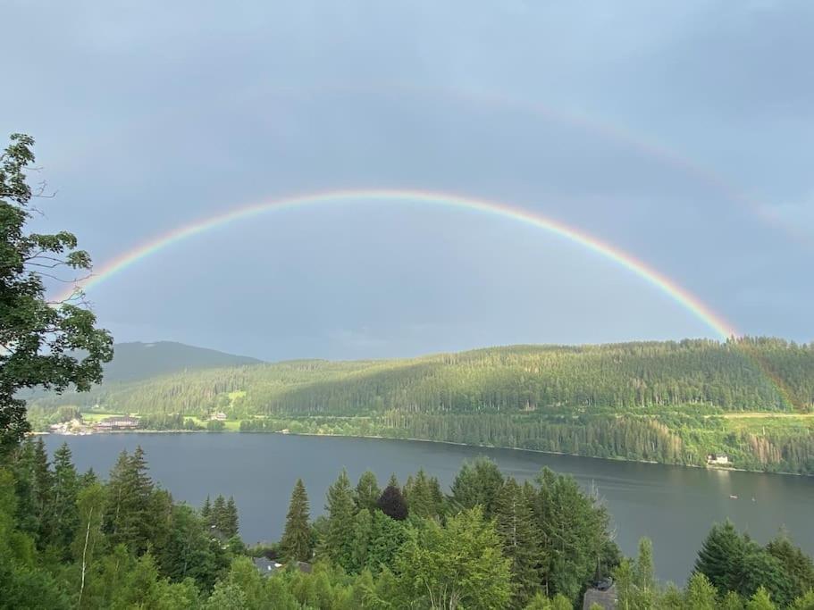Ferienwohnung Lotti + Hochschwarzwald Card Titisee-Neustadt Exteriör bild