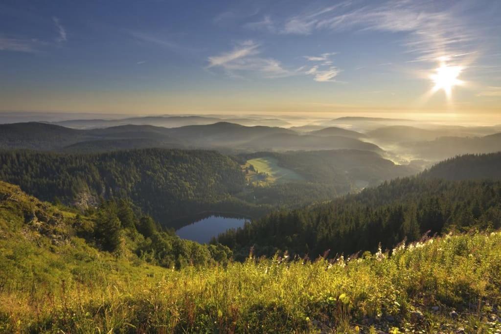 Ferienwohnung Lotti + Hochschwarzwald Card Titisee-Neustadt Exteriör bild