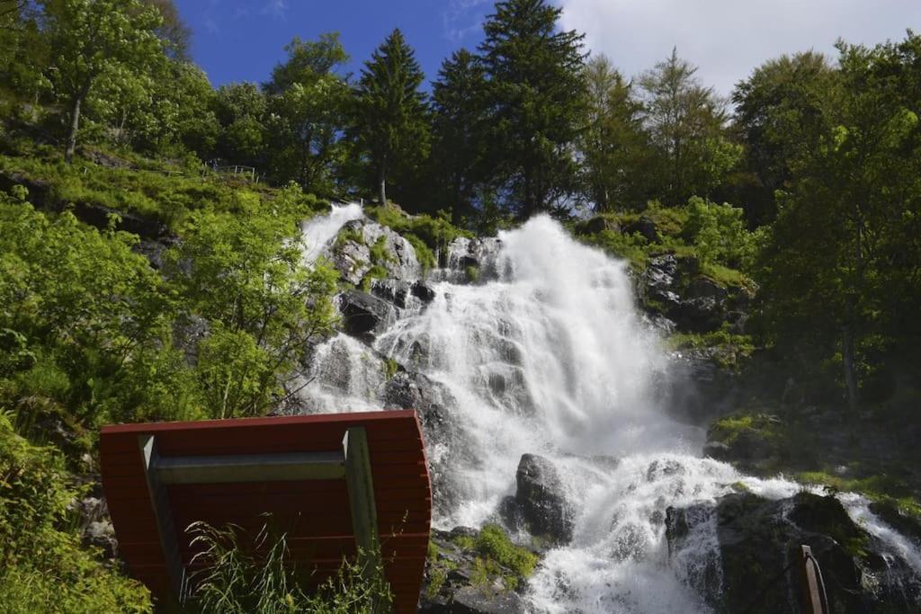 Ferienwohnung Lotti + Hochschwarzwald Card Titisee-Neustadt Exteriör bild