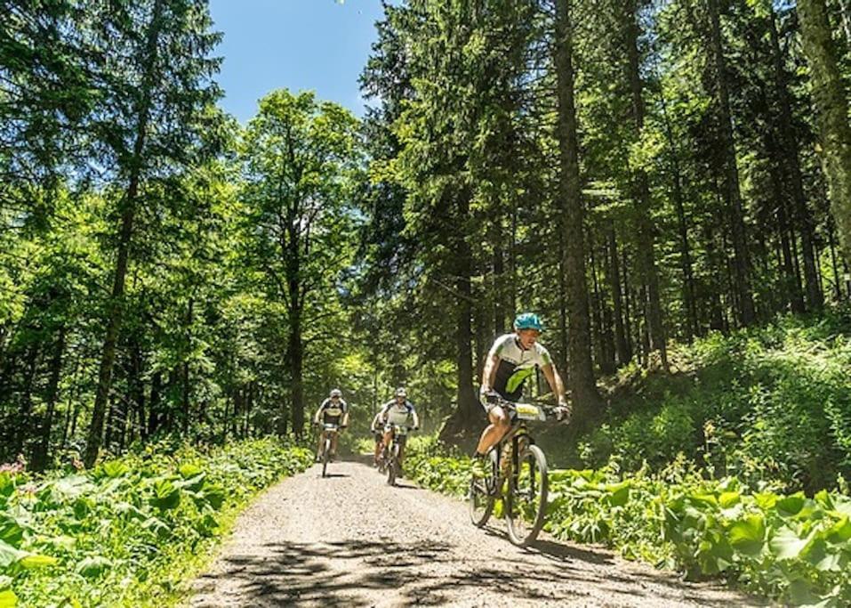 Ferienwohnung Lotti + Hochschwarzwald Card Titisee-Neustadt Exteriör bild